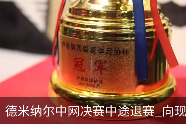 德米纳尔中网决赛中途退赛 向现场球迷道歉